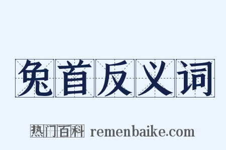 兔首反义词是什么意思的图片